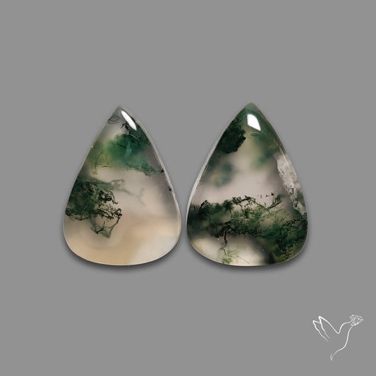 Moss Agate Pair