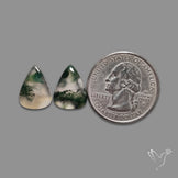 Moss Agate Pair