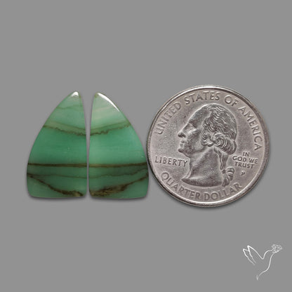 Gemmy Green Aventurine Pair