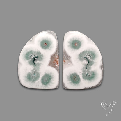 Solar Quartz Stalactite Slice Pair