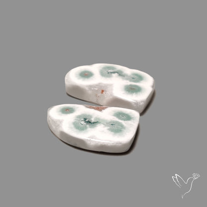 Solar Quartz Stalactite Slice Pair