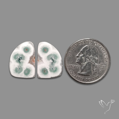 Solar Quartz Stalactite Slice Pair