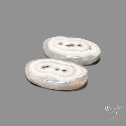 Solar Quartz Stalactite Slice Pair