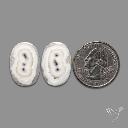 Solar Quartz Stalactite Slice Pair