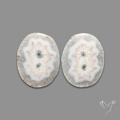 Solar Quartz Stalactite Slice Pair