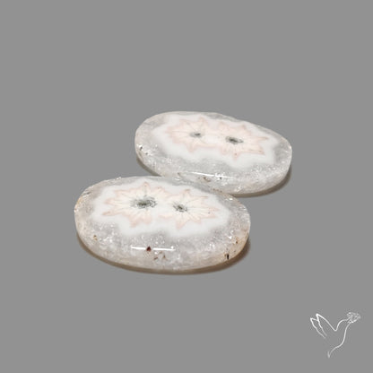 Solar Quartz Stalactite Slice Pair