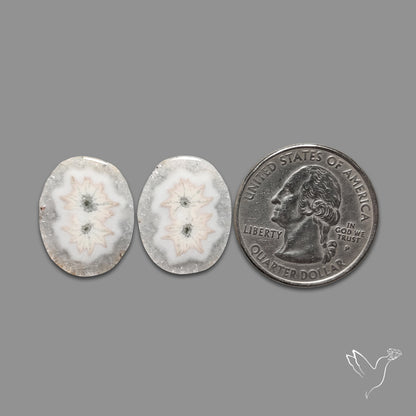 Solar Quartz Stalactite Slice Pair