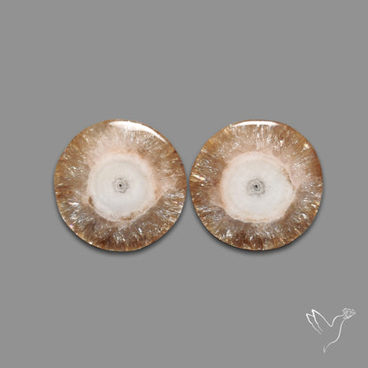 Solar Quartz Stalactite Slice Pair