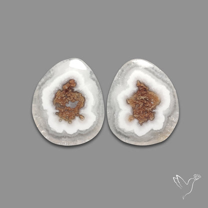 Solar Quartz Stalactite Slice Pair