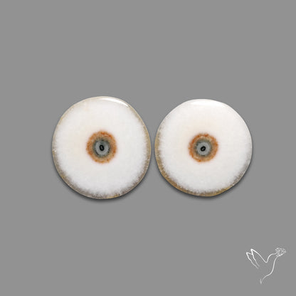 Solar Quartz Stalactite Slice Pair