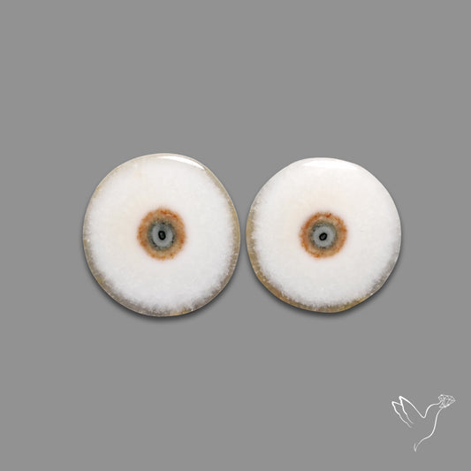 Solar Quartz Stalactite Slice Pair