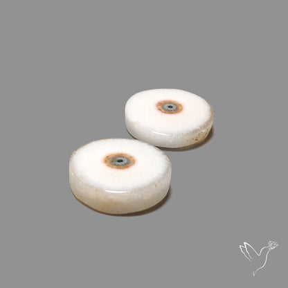 Solar Quartz Stalactite Slice Pair