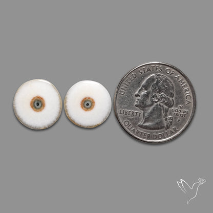 Solar Quartz Stalactite Slice Pair