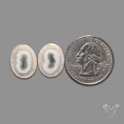 Solar Quartz Stalactite Slice Pair