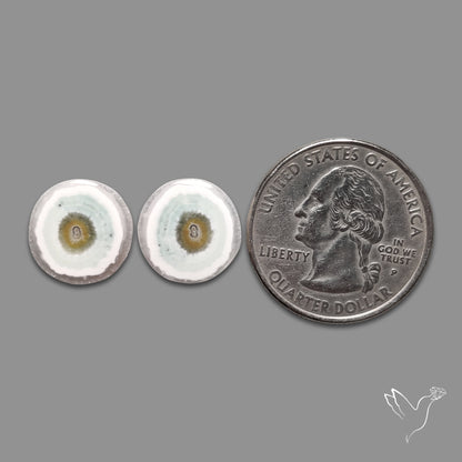 Solar Quartz Stalactite Slice Pair