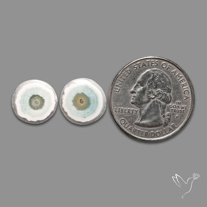 Solar Quartz Stalactite Slice Pair