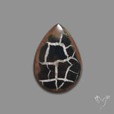 Black Septarian Fossil Cabochon