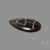 Black Septarian Fossil Cabochon