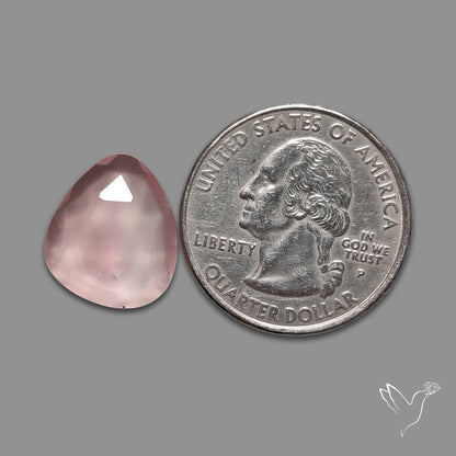 AAA Rose Cut Rose Quartz