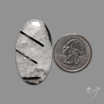 Black Tourmalinated Quartz Cabochon