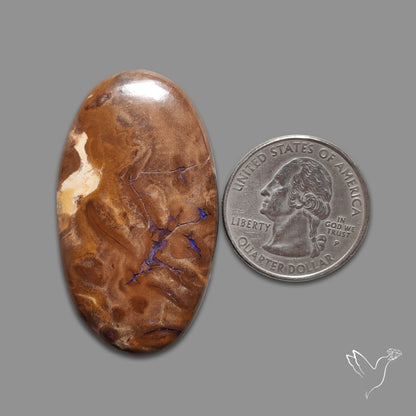 Australian Boulder Opal Large Sized Cabochon