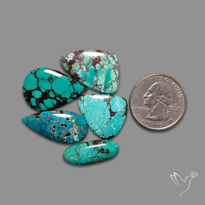 Hubei Turquoise Lot