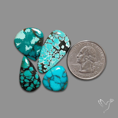 Hubei Turquoise Lot