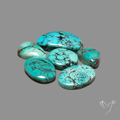 Hubei Turquoise Lot