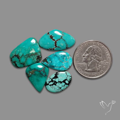 Hubei Turquoise Lot