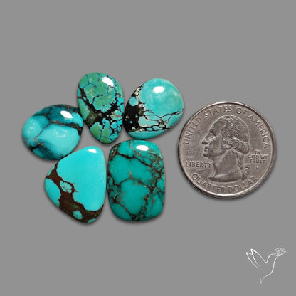 Hubei Turquoise Lot