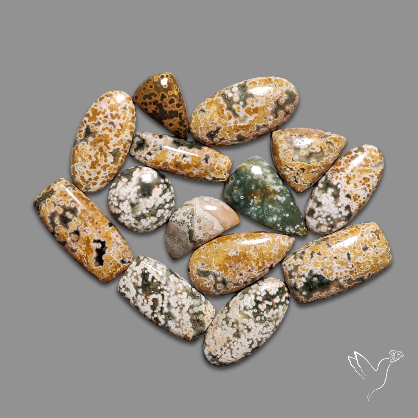 Orbicular Ocean Jasper Bulk Deal Lot