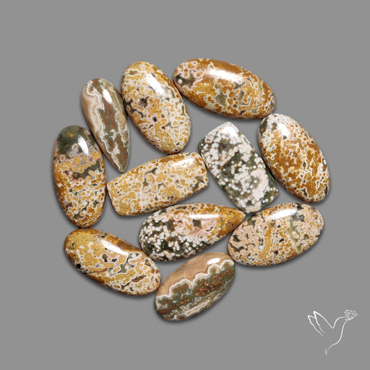 Orbicular Ocean Jasper Bulk Deal Lot