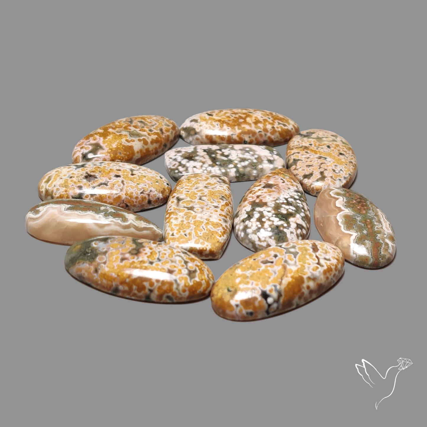 Orbicular Ocean Jasper Bulk Deal Lot