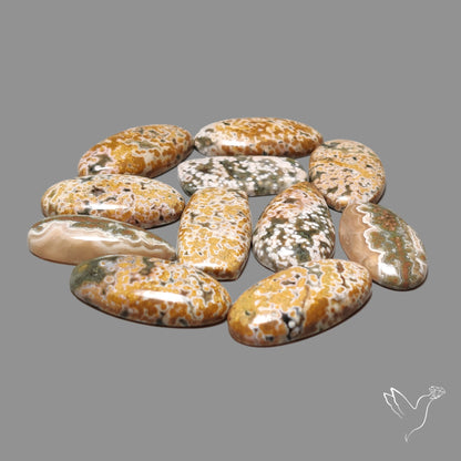 Orbicular Ocean Jasper Bulk Deal Lot