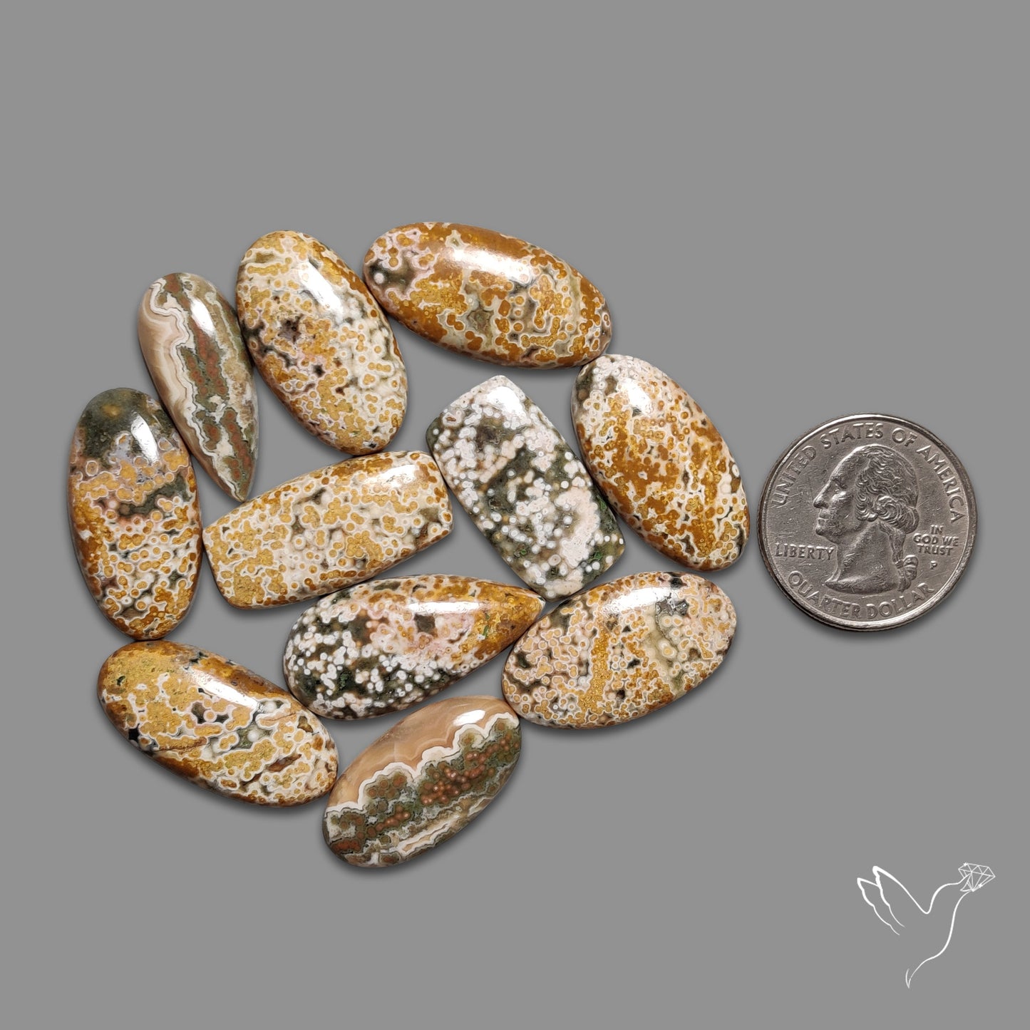 Orbicular Ocean Jasper Bulk Deal Lot