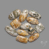 Orbicular Ocean Jasper Bulk Deal Lot