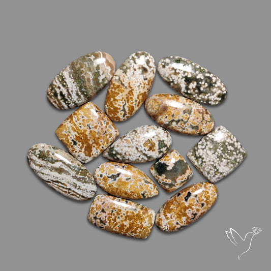 Orbicular Ocean Jasper Bulk Deal Lot