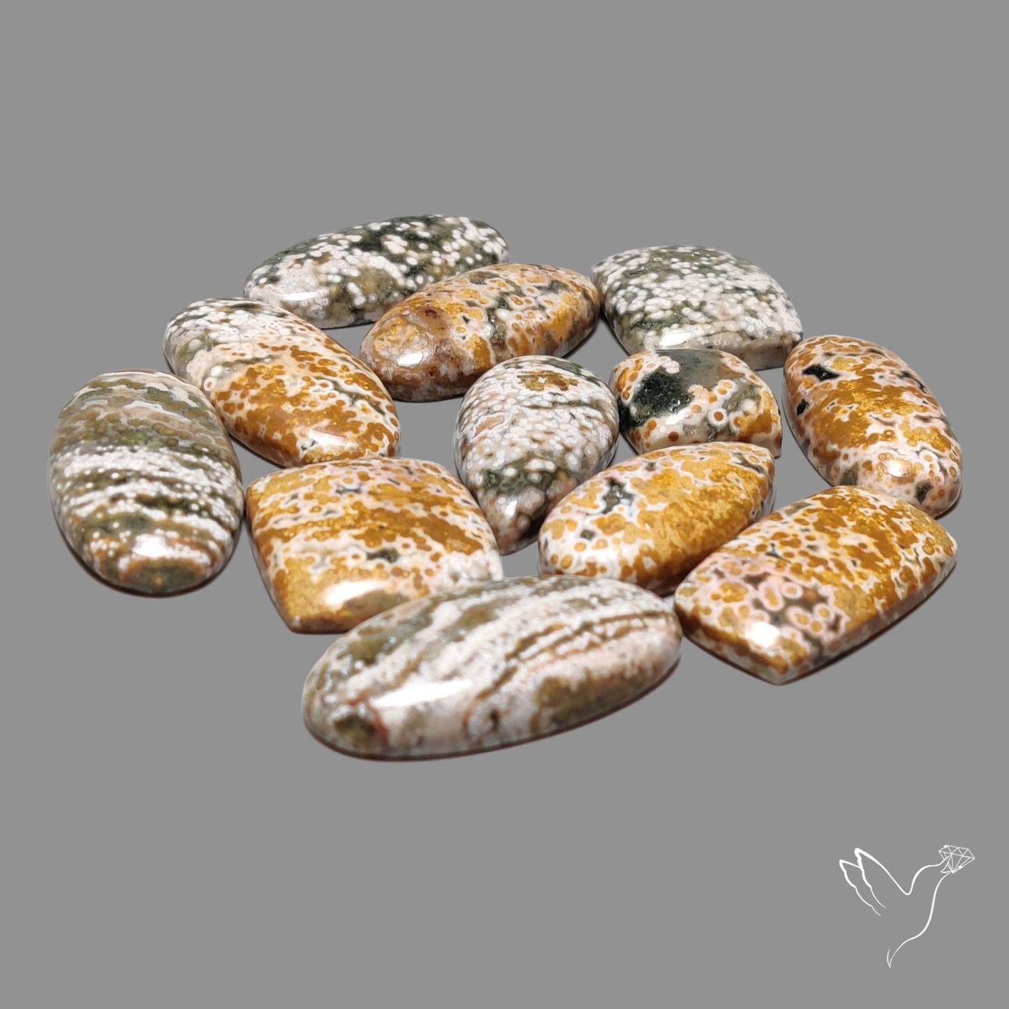 Orbicular Ocean Jasper Bulk Deal Lot