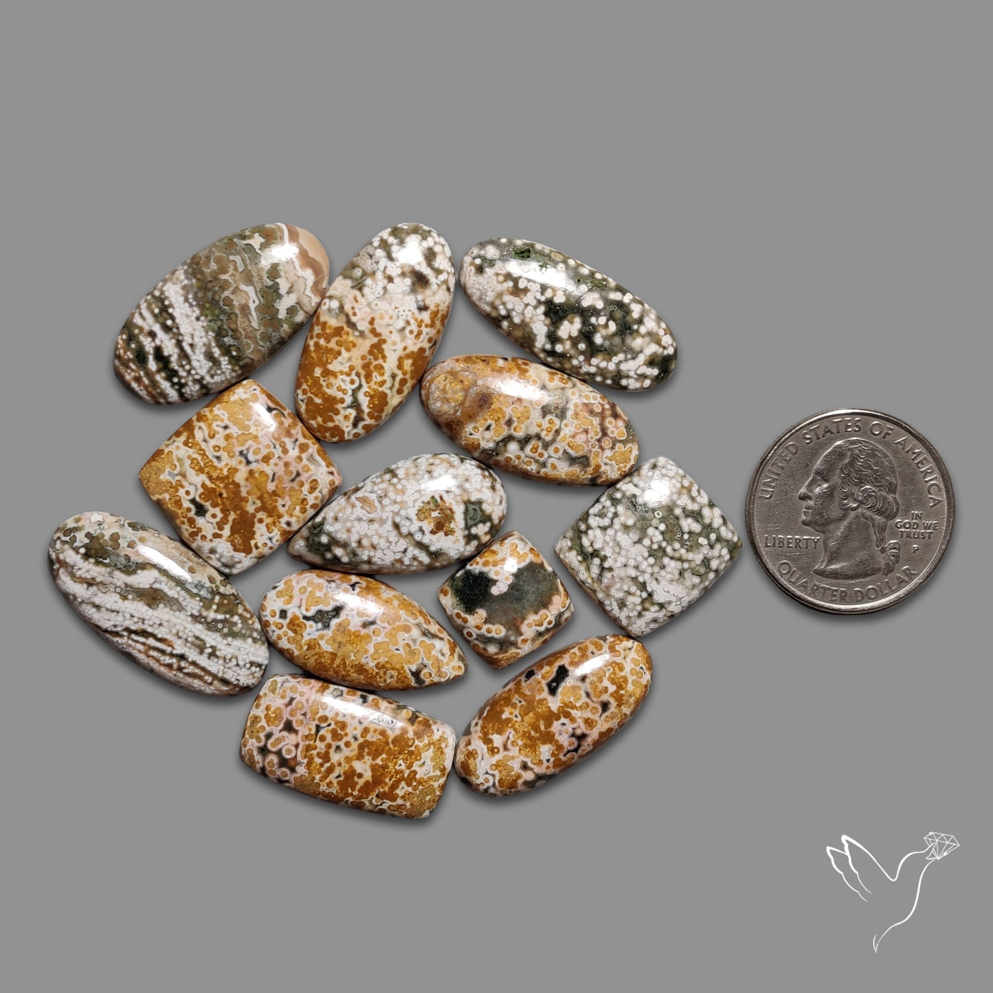 Orbicular Ocean Jasper Bulk Deal Lot