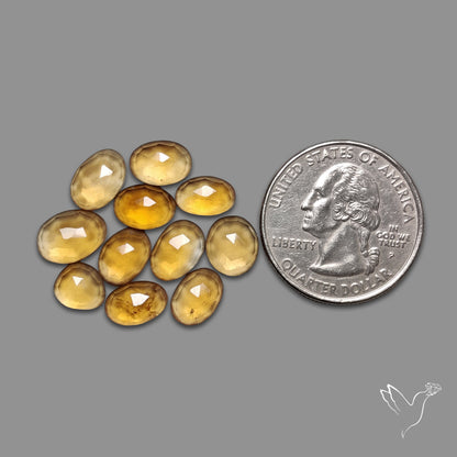 Rose Cut Citrine Lot