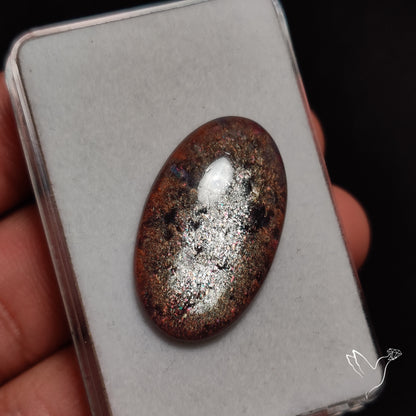 Bloodshot Iolite In Sunstone Cabochon