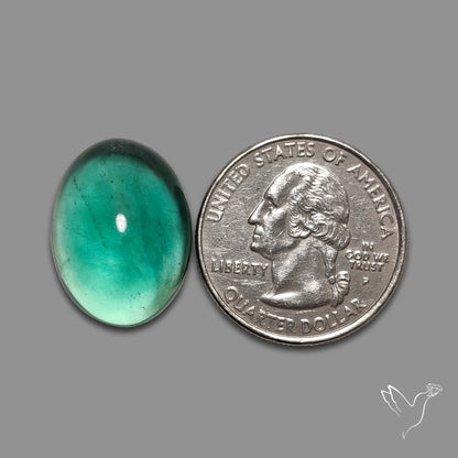 Belgian Teal Fluorite Cabochon