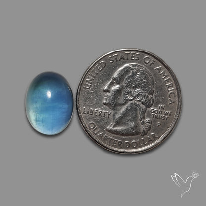 Belgian Teal Fluorite Cabochon