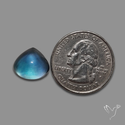 Belgian Teal Fluorite Cabochon