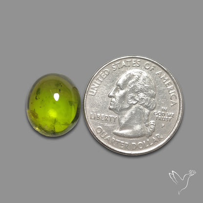 Peridot Cabochon