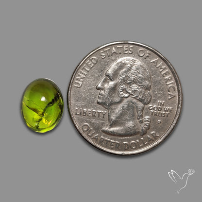 Peridot Cabochon