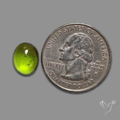 Peridot Cabochon
