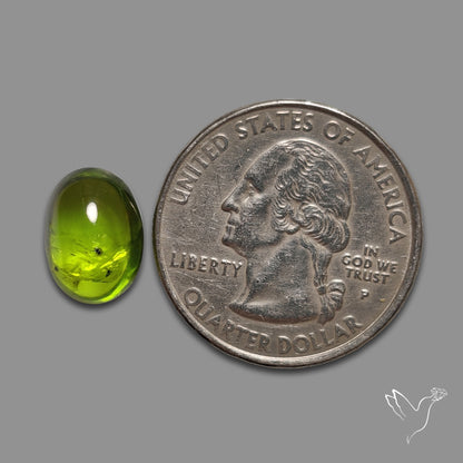 Peridot Cabochon