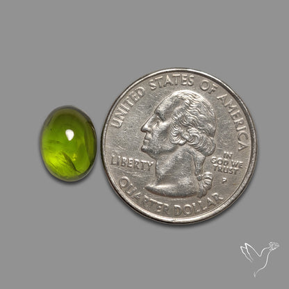 Peridot Cabochon