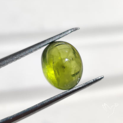 Buy Peridot Cabochon N46473 Online at GemstonesForSale